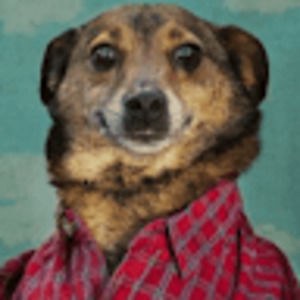 Meet your Posher, Justin